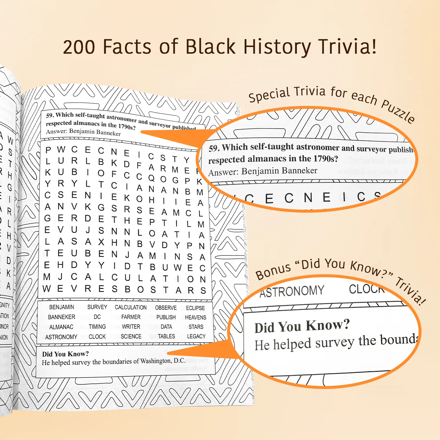 Black Heritage Word Search Book - Image 4