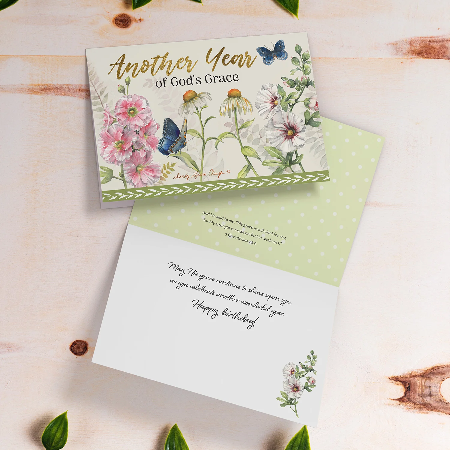 Sandy Clough Inspirational Greeting Card Assortment - Image 4