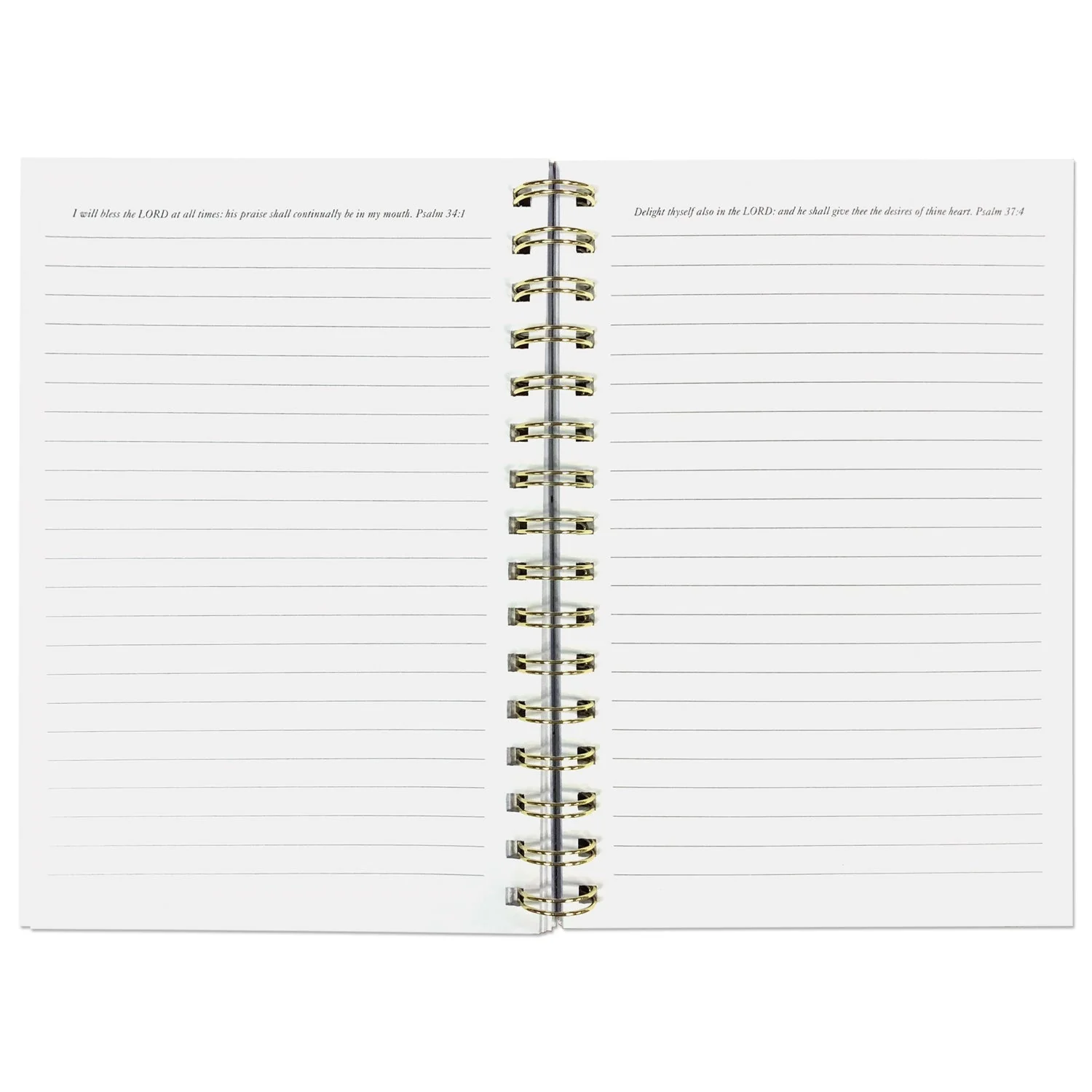 STILL I RISE CAGED BIRD WIRED JOURNAL - Image 2