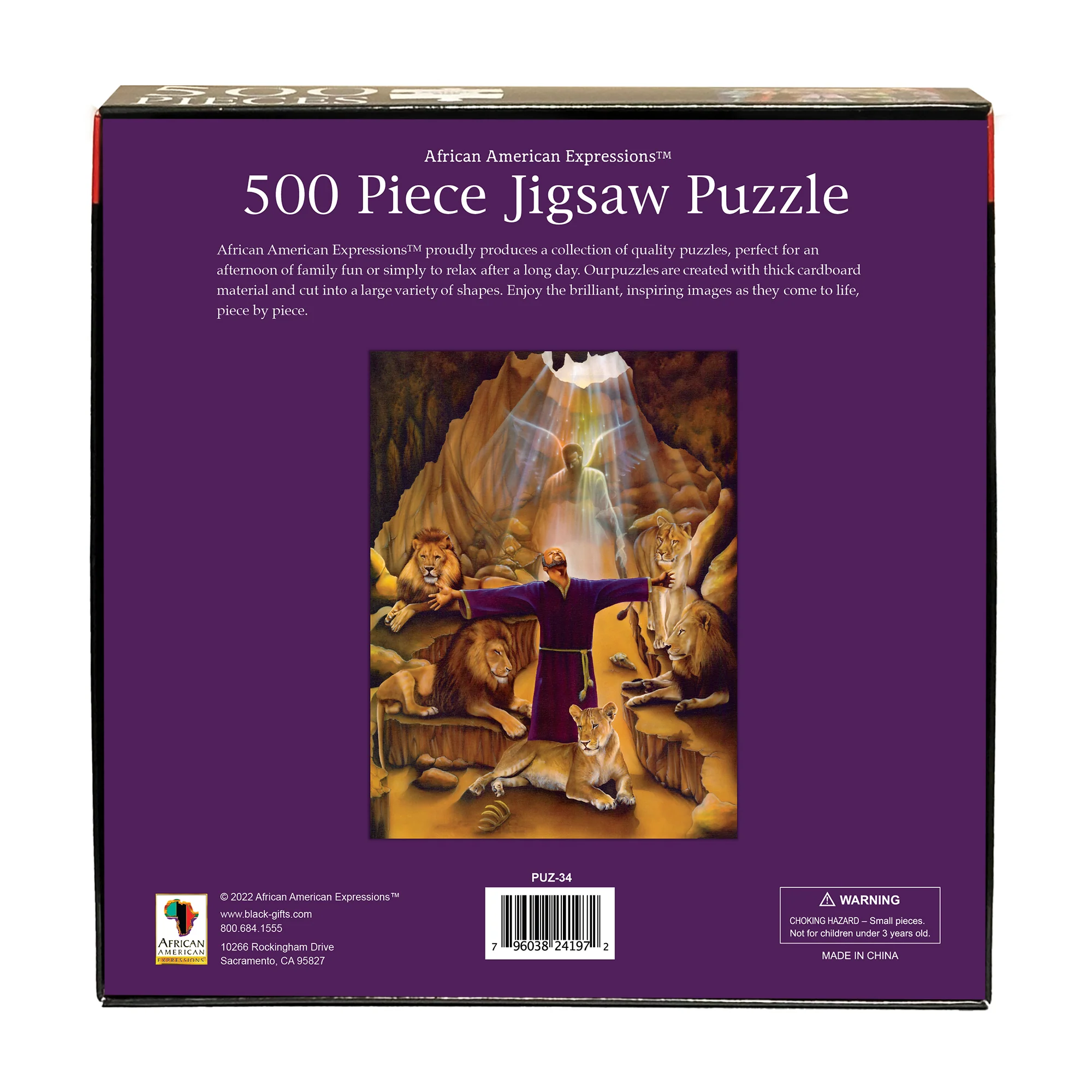 Daniel in the Lion's Den Puzzle - Image 2